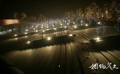 中国国家大剧院旅游攻略之广场夜景