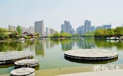 西安丰庆公园旅游攻略之观景台