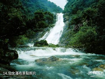 海南吊羅山國家森林公園-仙女瀑布照片