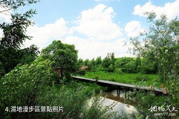 鶴崗清源湖旅遊景區-濕地漫步區照片