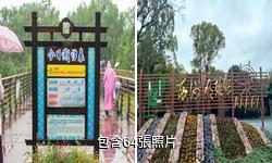 崇明西沙國家濕地公園驢友相冊