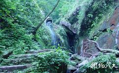 重庆江津四面山国家森林公园旅游攻略之喷水龙