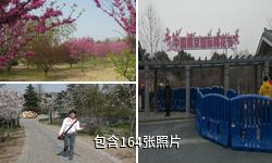 南京梅花山驴友相册
