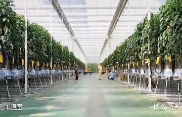 伊宁现代农业科技示范园-温室照片