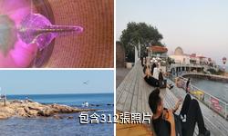 北戴河碧螺塔酒吧公園驢友相冊