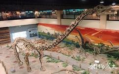 自貢恐龍博物館旅遊攻略之恐龍世界