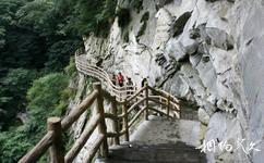 陕西太平国家森林公园旅游攻略之长空栈道