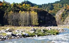 山西龐泉溝國家級自然保護區旅遊攻略之溪流