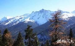云南金平分水岭国家级自然保护区旅游攻略之雪山