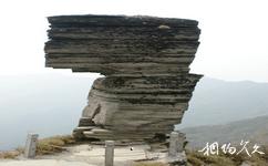 貴州梵凈山旅遊攻略之蘑菇石