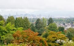 溫哥華伊麗莎白女王公園旅遊攻略之城市風光