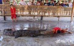 三亞美天涯熱帶海洋世界旅遊攻略之鱷魚表演