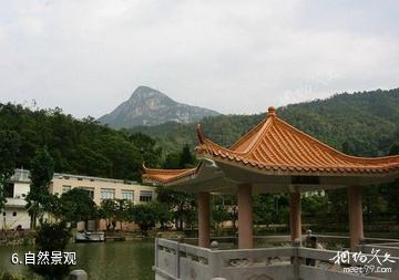 临江花山国家森林公园-自然景观照片