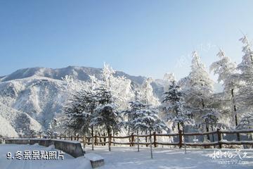 安康化龍山國家級自然保護區-冬景照片
