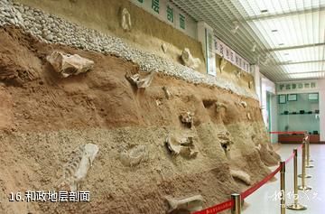 和政古动物化石博物馆-和政地层剖面照片