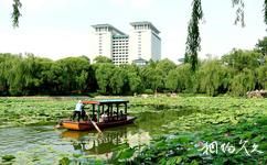 北京紫竹院公園旅遊攻略之竹荷文化展