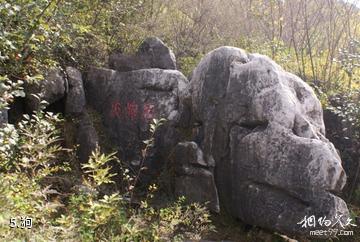 元古奇石林风景区-狗照片