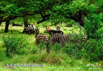 毛里求斯卡塞拉自然公园照片