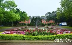 台湾大学校园概况之国立台湾大学