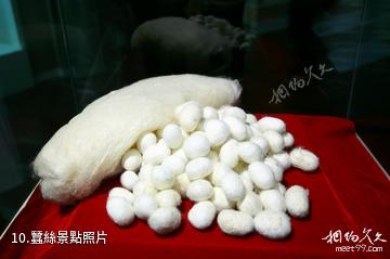 蘇州絲綢博物館-蠶絲照片