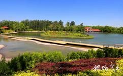 济南植物园旅游攻略之夏香湖