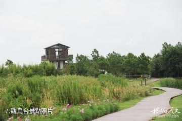 上海東灘濕地公園-觀鳥台照片