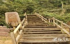 海南霸王岭国家森林公园旅游攻略之天路