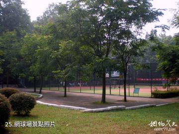 華中農業大學-網球場照片