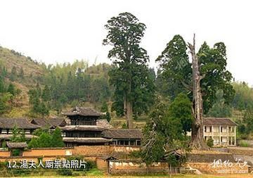 景寧草魚塘森林公園-湯夫人廟照片