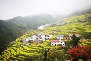 浙江衢州開化長虹旅遊攻略-長虹鄉景點排行榜