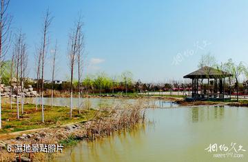 富平溫泉河濕地公園-濕地照片