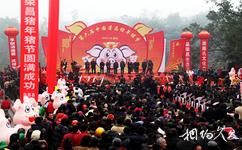 荣昌路孔万灵古镇旅游攻略之年猪节