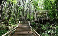 抚顺新宾岗山国家森林公园旅游攻略之登山栈道
