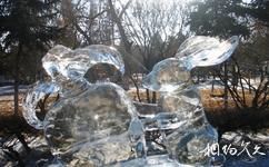 齐齐哈尔龙沙公园旅游攻略之冰雕