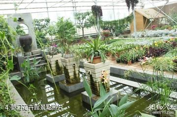 楊凌現代農業示範園創新園-夢幻花卉館照片