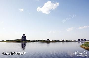 渭南鹵陽湖-百花島照片