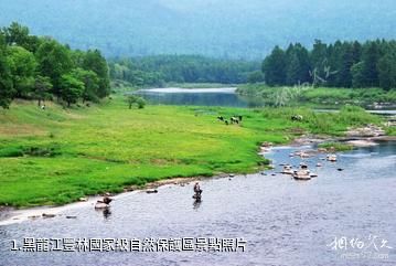 黑龍江豐林國家級自然保護區照片