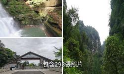 雅安碧峰峽驢友相冊