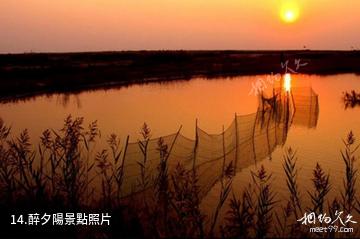 濱州市黃河三角洲生態文化旅遊島-醉夕陽照片