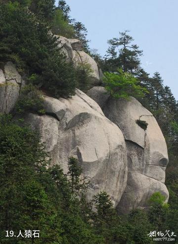 岳西妙道山风景区-人猿石照片