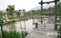 長興太湖圖影濕地旅遊攻略之水上拓展