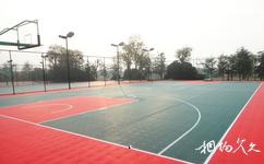 揚州宋夾城體育休閑公園旅遊攻略之室外籃球
