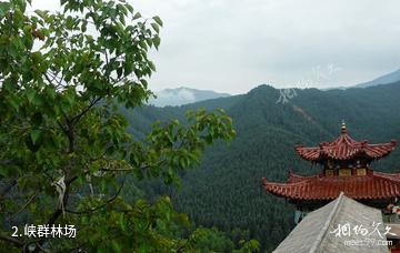 青海峡群寺森林公园-峡群林场照片