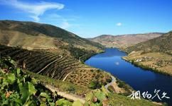 葡萄牙上杜罗葡萄酒产区旅游攻略之杜罗河