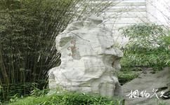 南京乌龙潭公园旅游攻略之镇潭神石