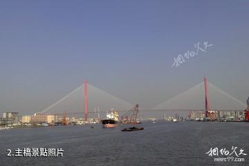 上海楊浦大橋-主橋照片