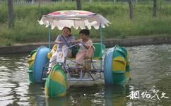 鄭州金鷺鴕鳥遊樂園旅遊攻略之水上三輪車