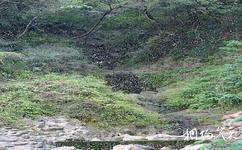 南京方山国家地质公园旅游攻略之洞玄观组与安琪马化石