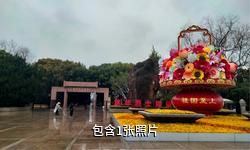 上海龙华烈士陵园驴友相册