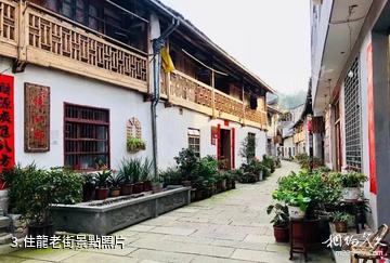 龍泉住龍紅色景區-住龍老街照片